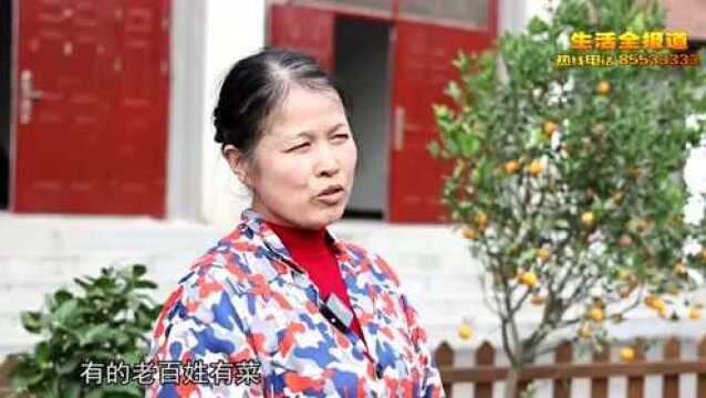 寻找武汉最美巾帼农庄(民宿) | 九真山下的好客人家