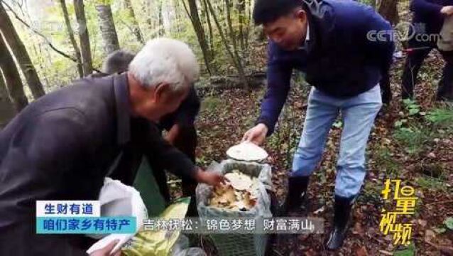 大爷卖各种药材和山珍,几个月的收入就超过两万元