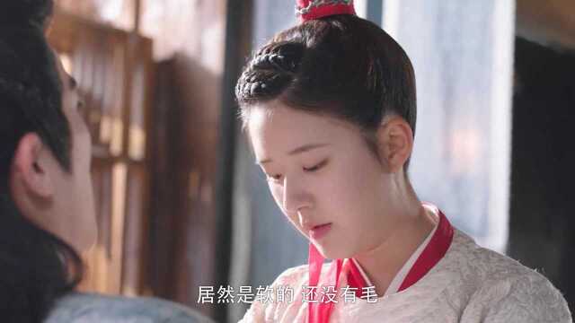 今日份的快乐:斗气冤家