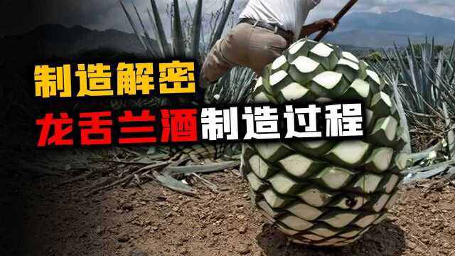 龙舌兰酒是怎么生产的?那种Tequilaboom,应该怎么喝