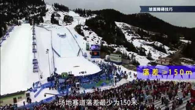 冲浪→滑雪!浙大超酷黑科技,为备战冬奥会提供冬雪夏训新思路