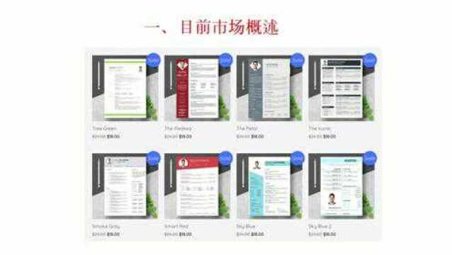 陈金凌:简历模板独立站项目(文末附:本项目策划方案.doc)