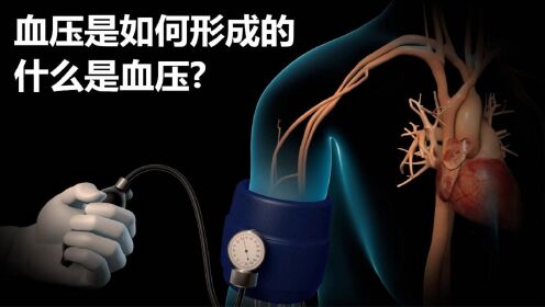什么是血压血压是如何形成的_高清1080P在线观看平台_腾讯视频