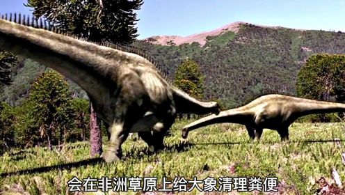 侏罗纪时期，体型最大的恐龙你知道是哪个吗，梁龙族群的生存历程，异特龙和剑龙谁更厉害