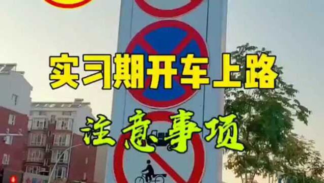 实习期内注意事项,这些新手司机要记住