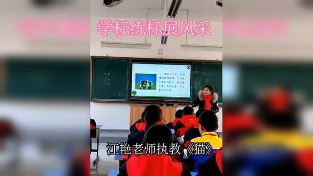 沂源立标学标扎实教研