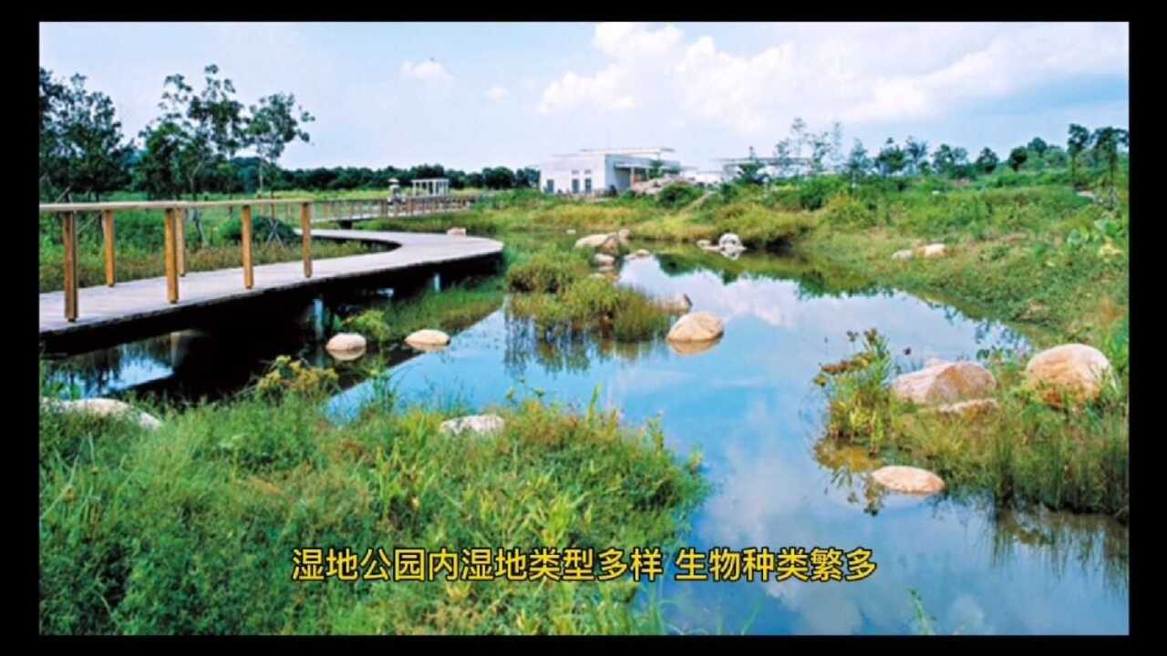 江苏丰县旅游六大景点推荐,丰县旅游攻略,丰县好玩的地方_高清1080P在线观看平台_腾讯视频