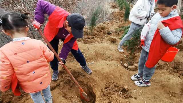 十万株苗木坐等认领 郑州义务植树活动首日近千人报名参加