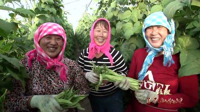 在这个特殊的日子里,致敬了不起的她!