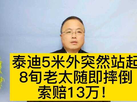 泰迪犬5米外突然站起,8旬老太随即摔倒索赔13万!咋整?#南京律师 #民法典