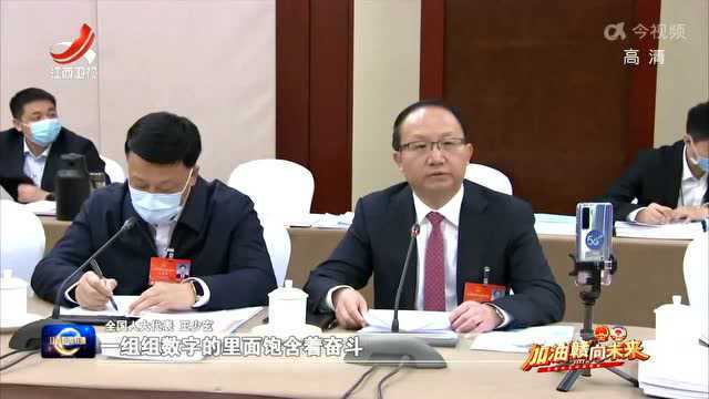 全国人大代表王少玄:全面贯彻“三新一高”要求,推进革命老区高质量发展