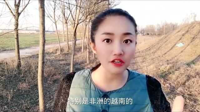 外国的女人和中国女人比