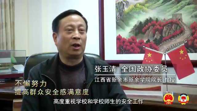 两会看公安 重拳打击涉民生类违法犯罪成效