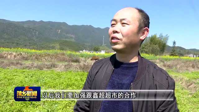 市供销社:为农服务勇争先