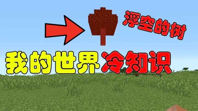 我的世界冷知识:浮空树 你见过吗?