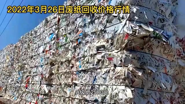 废纸价格2022年3月26日废纸回收价格厂家报价行情调整信息