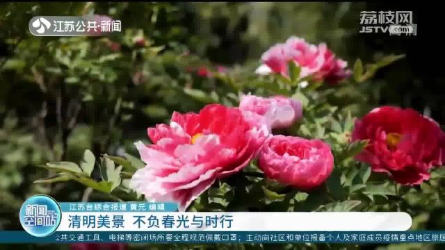 清明美景 不负春光与时行