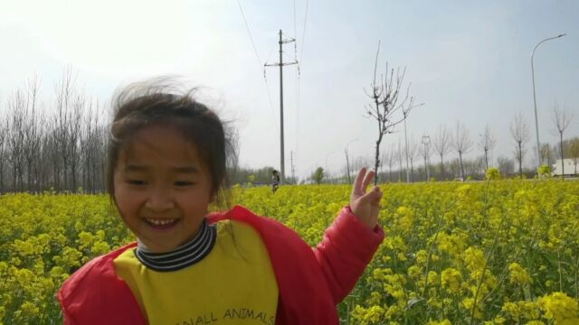 记录闺女在美丽油菜花𐟌𘧚„美景