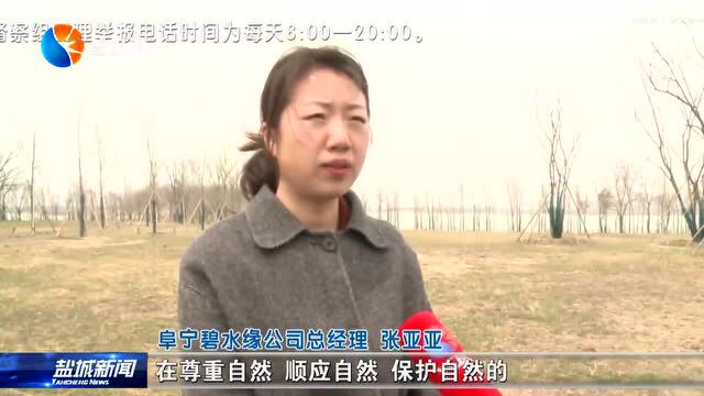 生态修复 打造绿色生态“盐城样本”