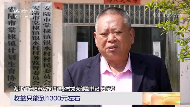 孝感这两个地方被央视“点名”!