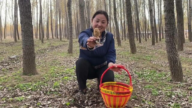 羊肚菌炖排骨的新做法,滋补养生味道鲜美,爱喝汤的一定要收藏