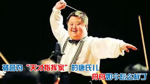 曾被誉为“天才指挥家”，和刘德华同过台，舟舟如今怎么样了