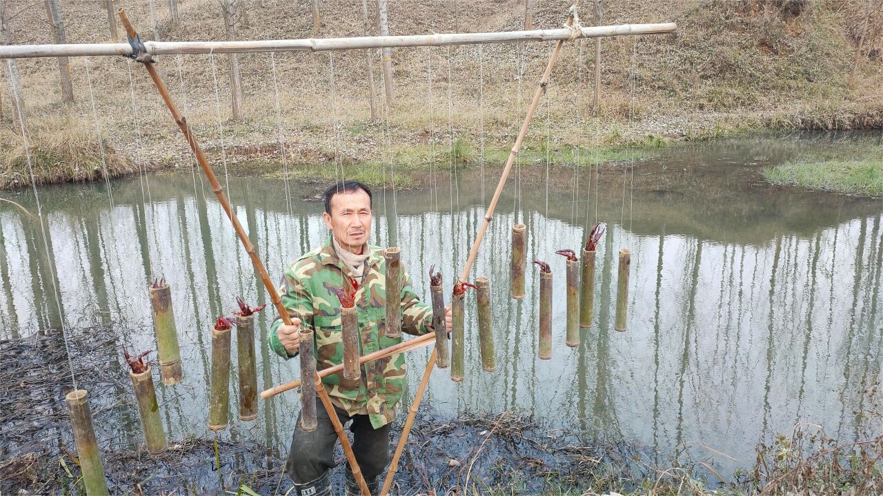 老农制作竹筒抓虾神器,一夜之间龙虾全爆筒,这个方法太牛了
