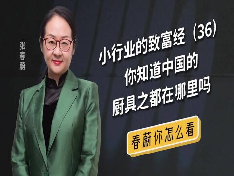 ''集成灶嵊州造''怎样炼成的?