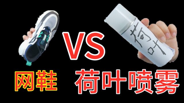 荷叶喷雾 VS 网鞋,谁更厉害?