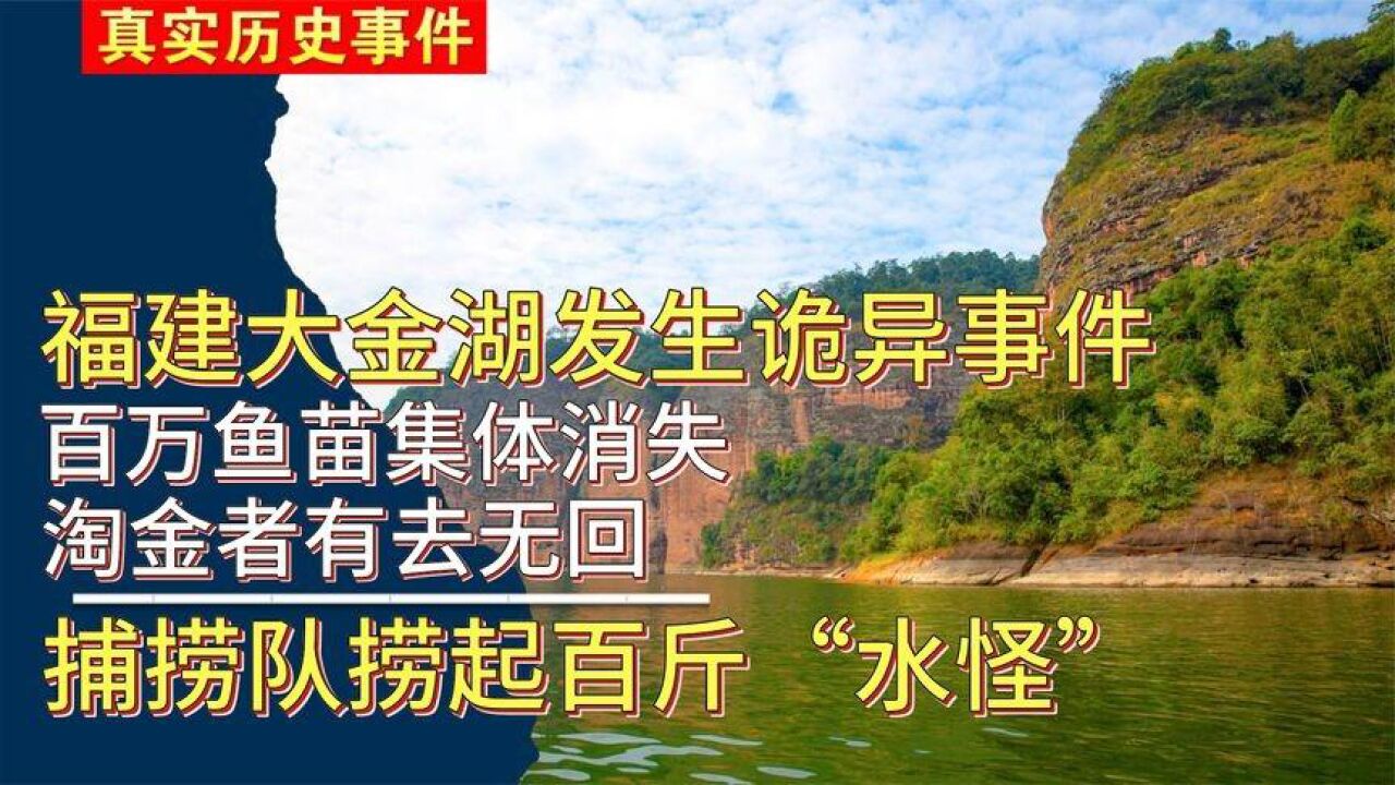 福建大金湖突现水怪,百万鱼苗神秘消失,捕捞队蹲守将其抓住!