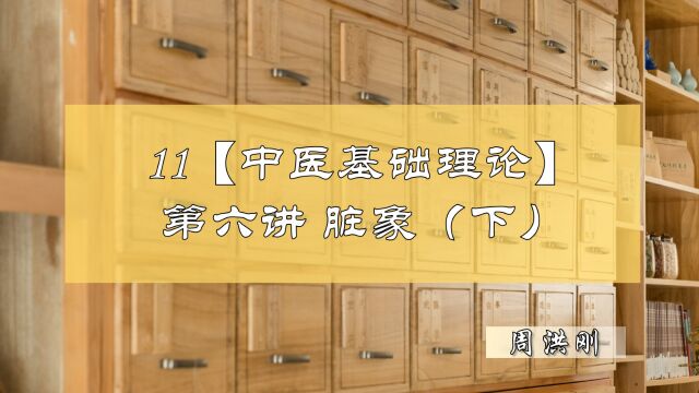 11【中医基础理论】第六讲—藏象(下) 修善堂中医世家周洪刚