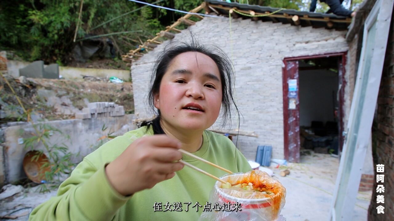 农村自建小院返工,上厕所不怕蚊子,水电都通可入住