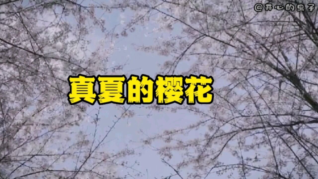 周深宝藏歌单里的歌,要不是周深,还不知道这首歌这么好听,推荐