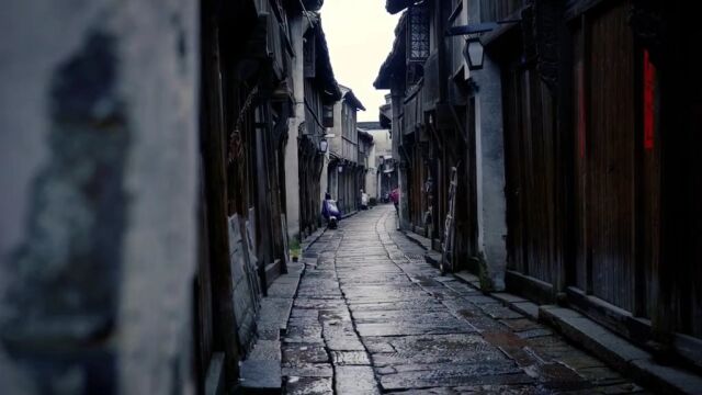 江南水乡 江南小镇 烟雨江南 唯美风景 (181)