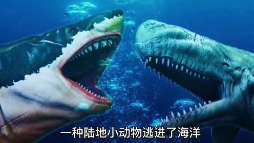 史前巨兽巨齿鲨，与其同时代的海洋霸主梅氏利维坦鲸相比，谁才是王者？