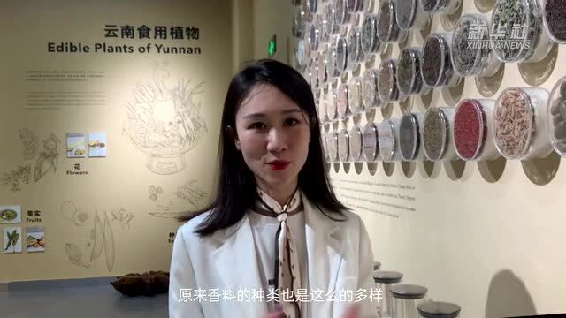 关于种子你好奇的这些事儿,我们找到了答案