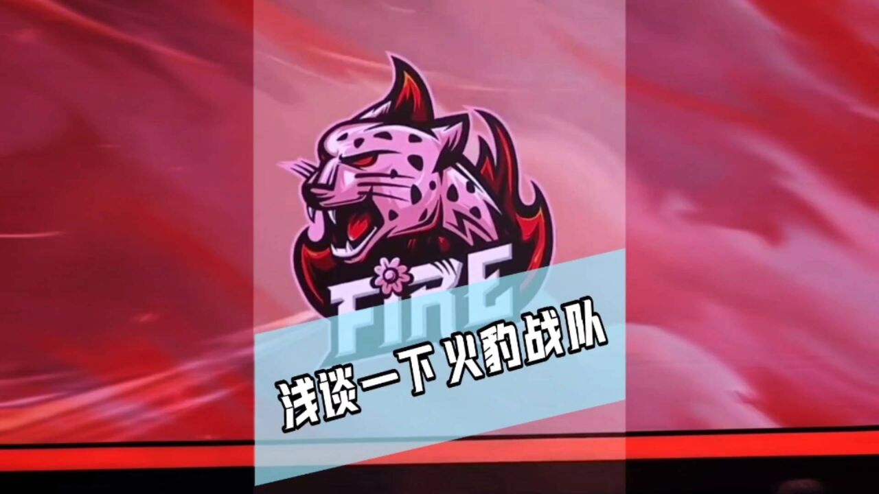 浅谈一下转会期的火豹战队