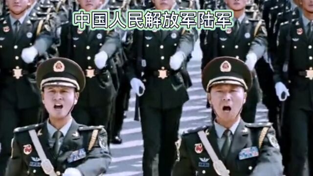 #中国人民解放军陆军