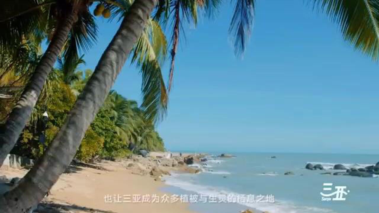 海南三亚宣传片_高清1080P在线观看平台_腾讯视频