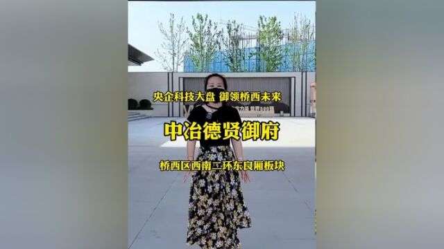 中冶德贤御府…央企科技大盘…御领桥西未来…桥西区西南二环东良厢板块…#中冶德贤御府