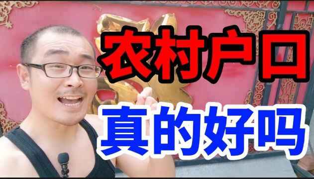 农村户口好吗?农民生活好吗?为什么农业人口都外出打工,都想进城市