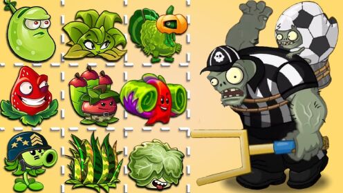 植物大战僵尸:随机3种植物挑战足球巨人僵尸