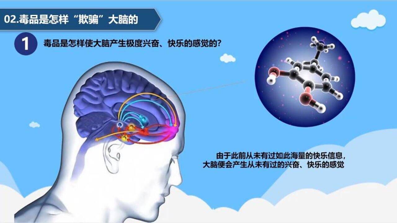 毒品成瘾机制_高清1080P在线观看平台_腾讯视频
