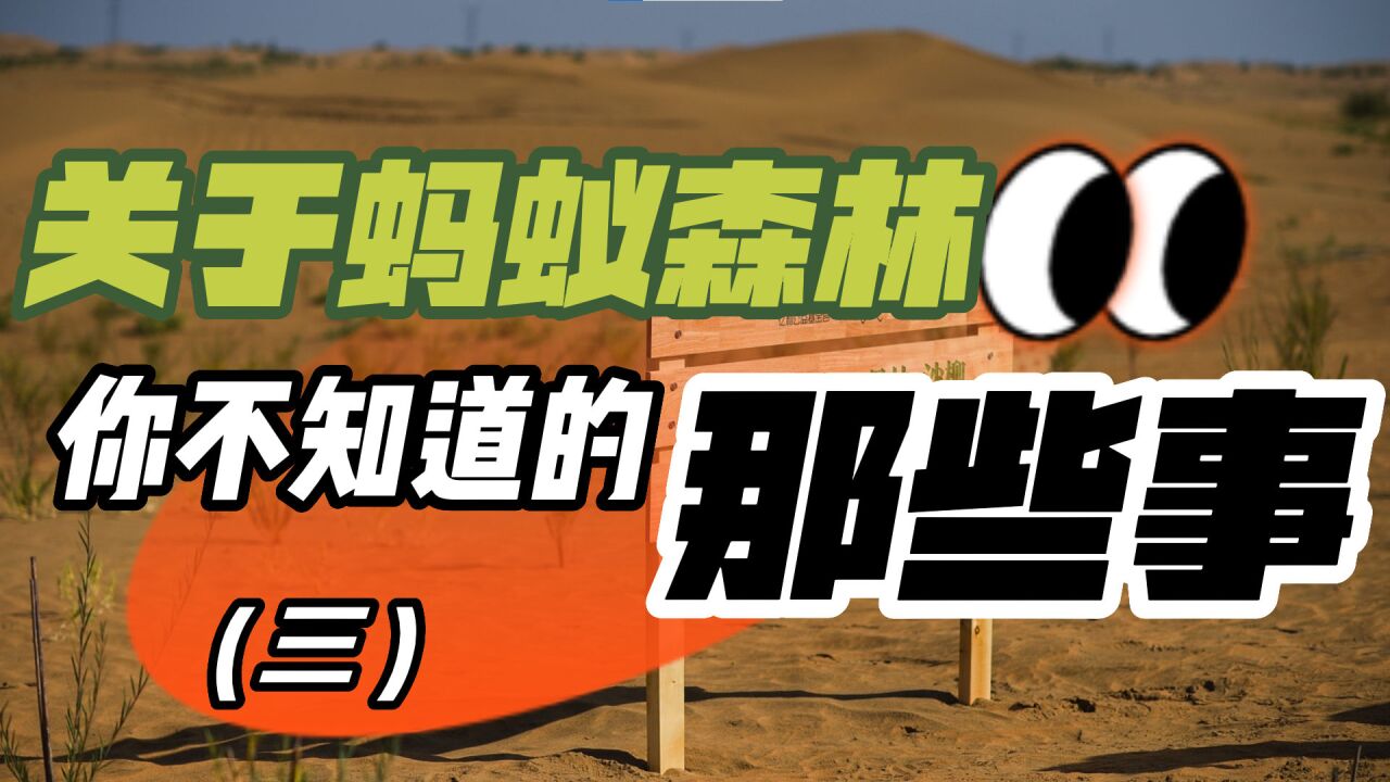 关于蚂蚁森林,你不知道的那些事(三)