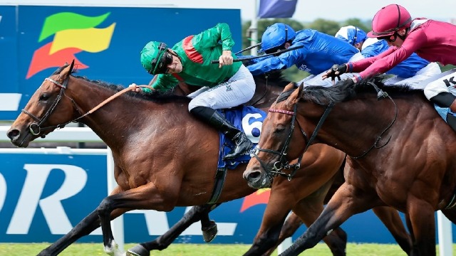 2022 日蚀锦标赛 vadeni