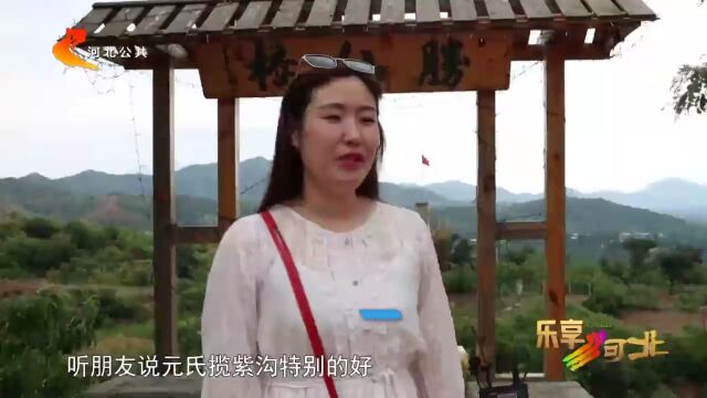 乐享身边的美|“打卡”石家庄元氏揽紫沟 尽享“清凉一夏”