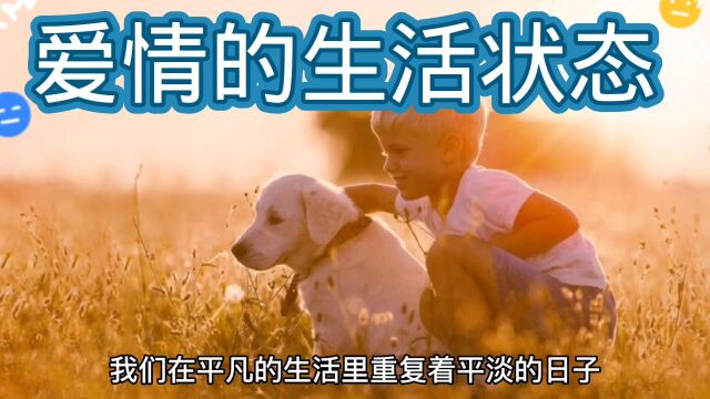 爱情的生活状态