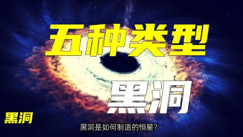 从五种类别详细地分析宇宙黑洞