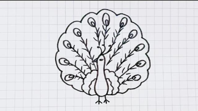 教你简单画孔雀