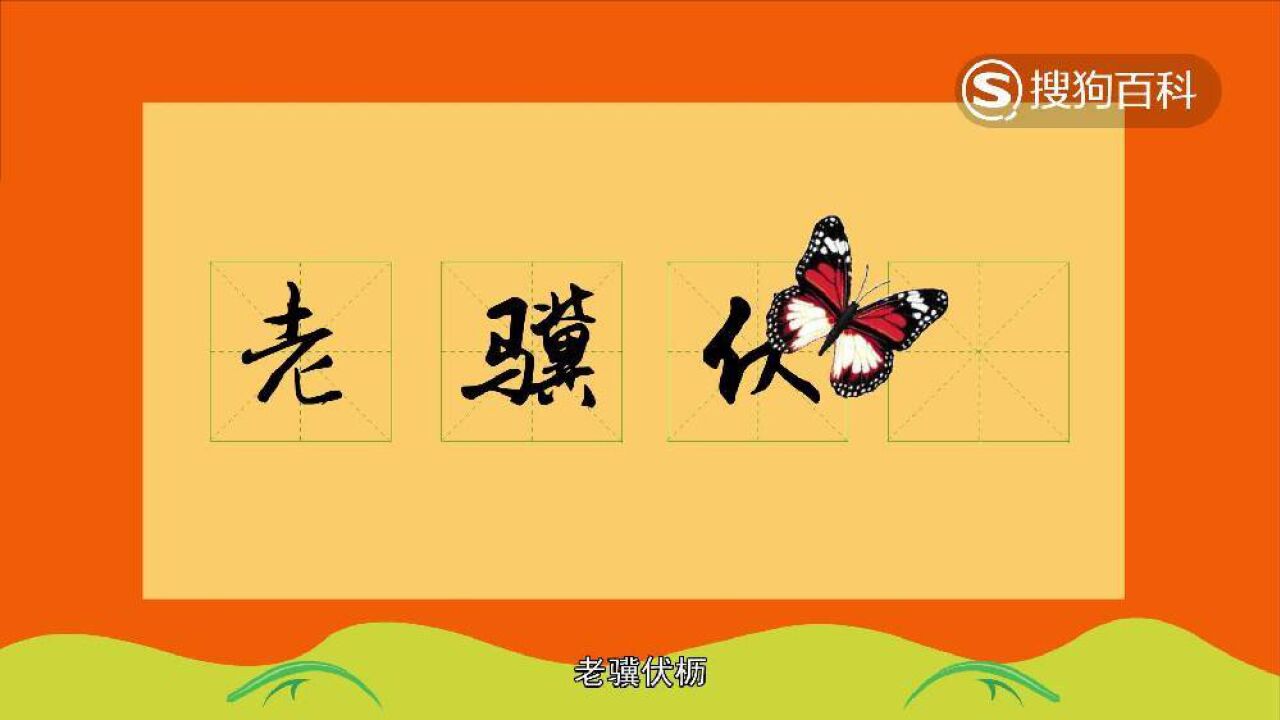 独特的老骥伏枥什么意思的视图